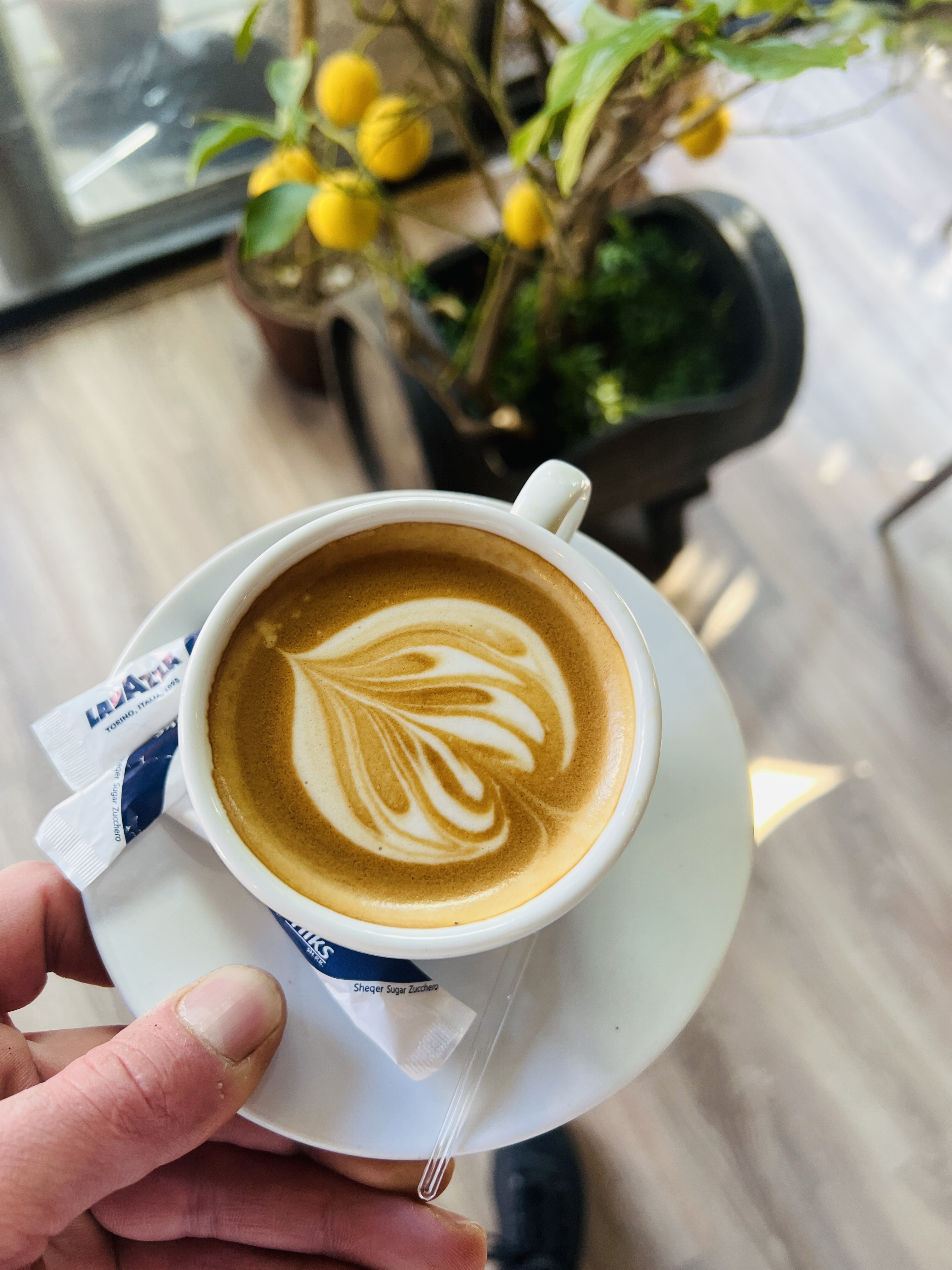 Kafe